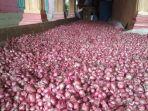 harga-bawang.jpg