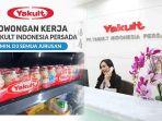 lowongan-kerja-yakult.jpg