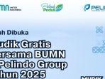 mudik-gratis-2025.jpg