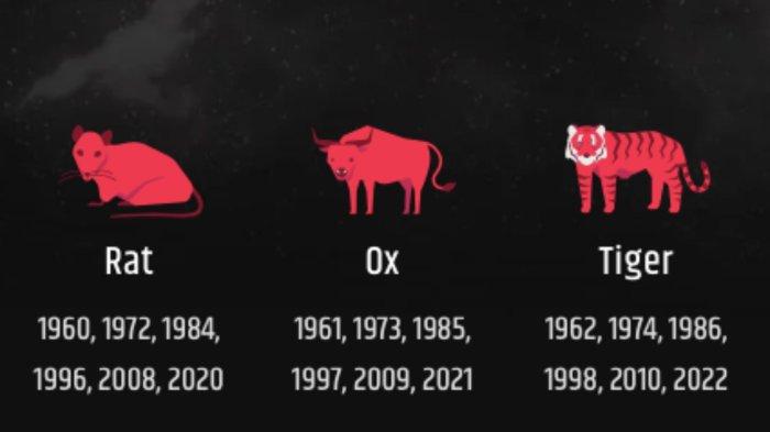 Ramalan Shio Tikus, Kerbau, dan Macan Minggu 27 Juli 2025: Horoskop Cinta hingga Keuangan