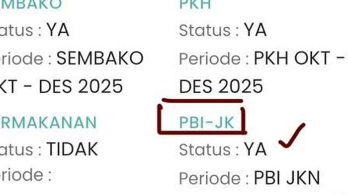 BANSOS 2025 - Tangkapan layar hasil pencarian cek bansos. Cara Cek Penerima PBI-JK BPJS Kesehatan.(KOMPAS.com/MELA ARNANI)