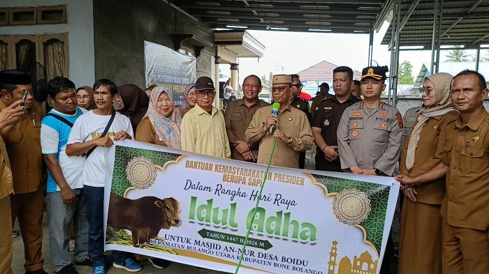 SAPI KURBAN -- Bupati Bone Bolango, Gorontalo Ismet Mile serahkan bantuan sapi kurban Presiden, Selasa (26/5/2026). Sumber foto: TribunGorontalo.com/Jefri Potabuga.