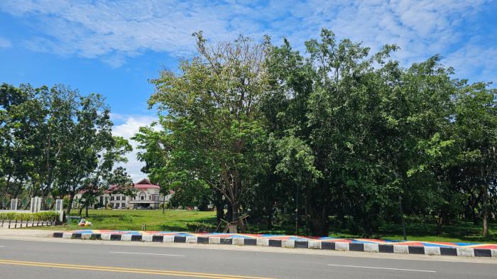 Bupati Gorontalo Utara Thariq Modanggu cffedfrrgthg