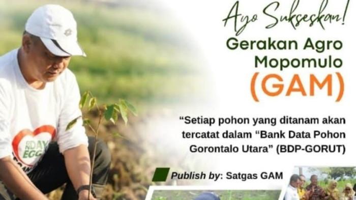 GERAKAN AGRO MOPOMULO -- Bupati Gorontalo Utara, Thariq Modanggu saat menanam pohon. Pemkab Gorontalo Utara meluncurkan Program Gerakan Agro Mopomulo (GAM). (Sumber Foto: Pemkab Gorontalo Utara)