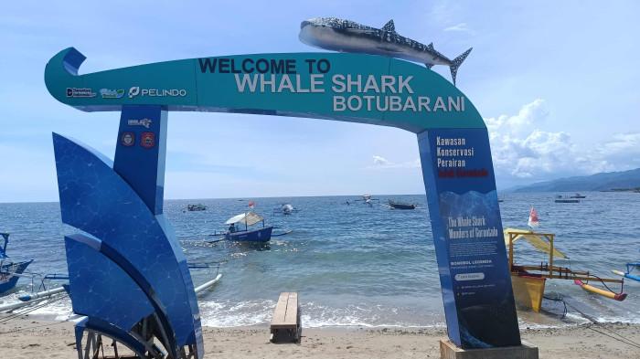HIU PAUS--Kondisi Wisata Hiu Paus Botubarani, Kabupaten Bone Bolango, Gorontalo Sabtu (10/1/2026). Sumber foto: TribunGorontalo.com/Jefri Potabuga.