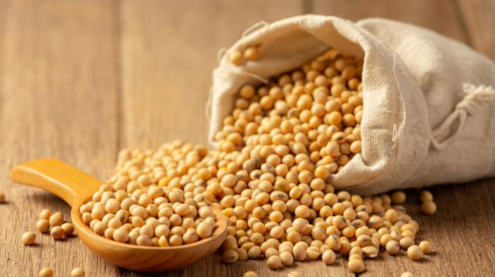 KACANG KEDELAI - Ilustrasi kacang kedelai. Kedelai merupakan lemak dan protein yang baik.