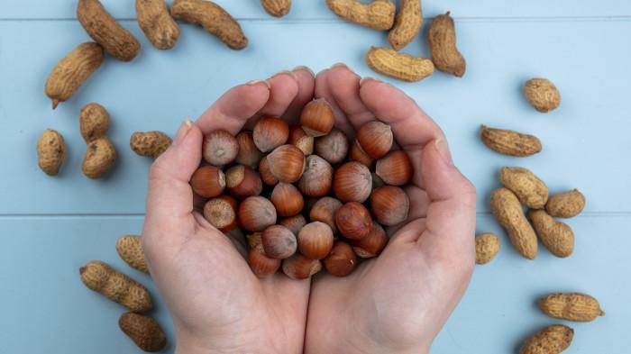 Ilustrasi kacang pohon.