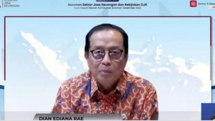 Kepala Eksekutif Pengawas Perbankan OJK Dian Ediana Rae