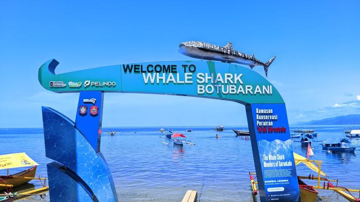 Objek wisata Hiu Paus di Desa Botubarani
