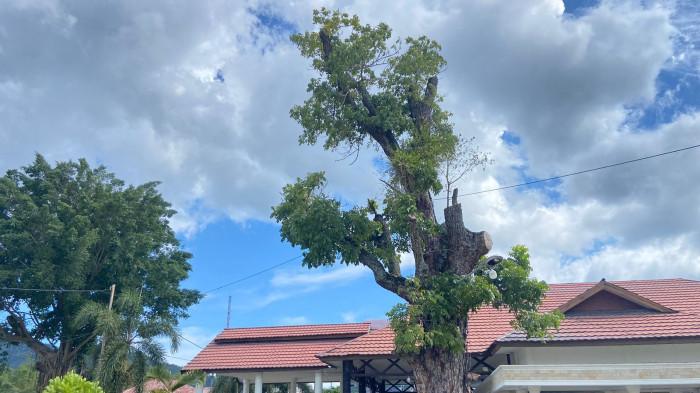 PRAKIRAAN CUACA BESOK - Kondisi cuaca hari ini terpantau cerah berawan