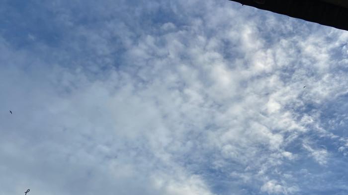 Peringatan dini BMKG Gorontalo hari ini Senin 23 Februari 2026