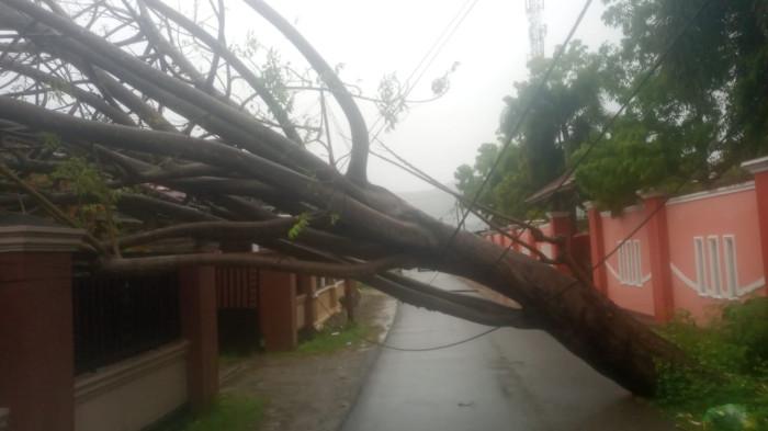 POHON TUMBANG --  Pohon tumbang yang menimpa pagar rumah warga di Jalan Sawit 2, Kelurahan Buladu, Kecamatan Kota Barat, Senin (4/11/2025), saat hujan deras dan angin kencang melanda wilayah tersebut.
