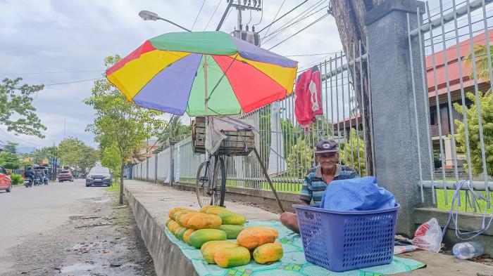 HUMAN INTEREST -- Potret Opa Asi (70) masih bertahan jualan pepaya di Jalan Jendral Sudirman Kota Gorontalo, Kamis (23/1/2026). Opa Asi berjualan di kawasan Rumah Adat Dulohupa. (Sumber foto: TribunGorontalo.com/Jefri Potabuga)