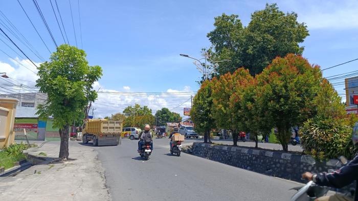 KELUHAN WARGA -- Potret tanaman di median Jalan Pangeran Hidayat, Kota Gorontalo, Provinsi Gorontalo. Pengendara mengeluhkan tanaman yang disebut menghalangi pandangan.