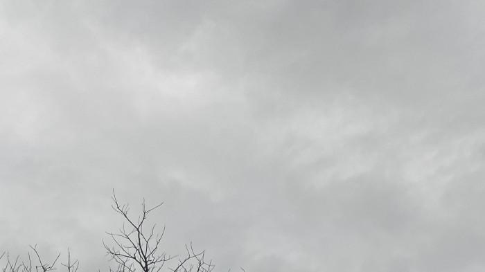 Prakiraan cuaca Gorontalo Minggu, 1 Maret 2026: berawan hingga hujan ringan