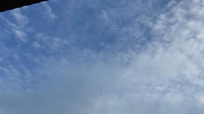 Prakiraan cuaca hari ini Senin 23 Feb 2026