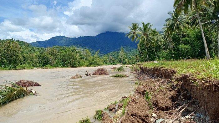 SUNGAI BONE: Sungai Bone tepatnya di kawasan Suwawa, Bone Bolango, Gorontalo, keluar dari jalur semestinya. Satu dusun terancam tenggelam.