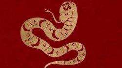 Ramalan Shio Kelinci, Naga, Ular Besok Selasa, 27 Januari 2025: Horoskop Cinta hingga Keuangan