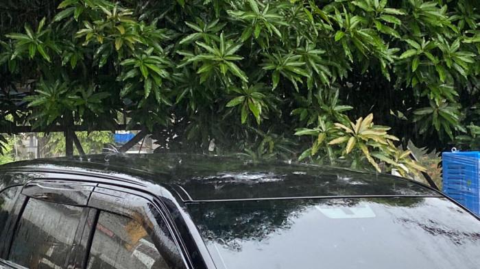 Suhu berkisar 21–31 °C dengan kelembapan tinggi hingga 99 persen.