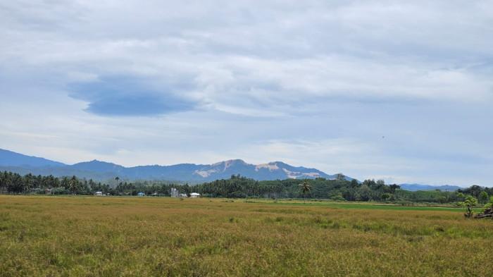 IUP TAMBANG EMAS - Gunung lokasi tambang emas Gorontalo Sejahtera Mining di Kota Marisa, Kabupaten Pohuwato, Provinsi Gorontalo. GSM memang IUP seluas 7.300 hektare