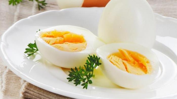 MANFAAT TELUR - ilustrasi telur rebus. Telur mengandung protein yang tinggi.