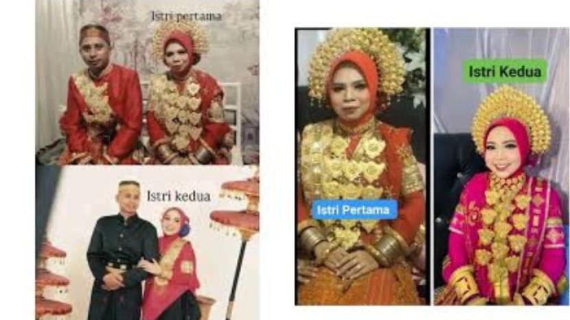 Tribun