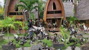 2024-05-11_Wisata-Religi-Bubohu.jpg