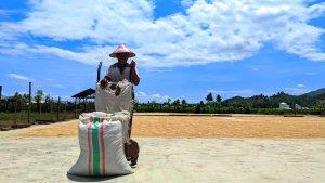 Aldo-Usman-45-Petani-sawah-di-Desa-Dulohupa-Kecamatan-Telaga.jpg