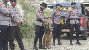 Anjing-pelacak-K-9-mengendus-bau.jpg