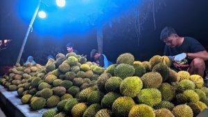 DURIAN-DI-GORONTALO-Penjual-durian-di-Jalan-John-Ario.jpg