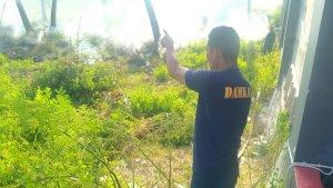 Kebakaran-lahan-di-Marisa-Kabupaten-Pohuwato-0000.jpg