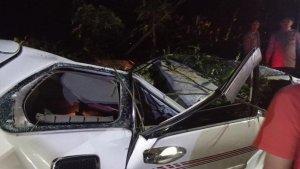 MOBIL-TERTIMPA-POHON-Sebuah-pohon-besar-tiba-tiba-tumbang.jpg