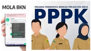 MOLA-BKN-dan-PPPK-2025-cbdf.jpg