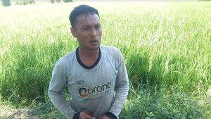 Muhammad-Nunta-petani-sawah-Bone-Bolango.jpg