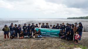 PLN-menanam-7000-bibit-mangrove-jenis-Avicennia.jpg
