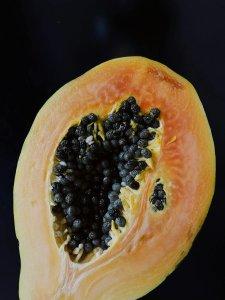 Pepaya-pestisida-alami.jpg