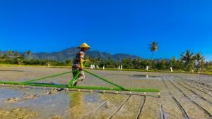 Potret-petani-di-Bone-Bolango-saat-menggarap-sawah.jpg