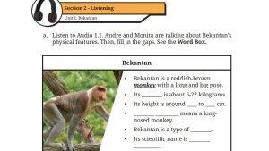 buku-Bahasa-Inggris-Kelas-9-Kurikulum-Merdeka-halaman-24.jpg