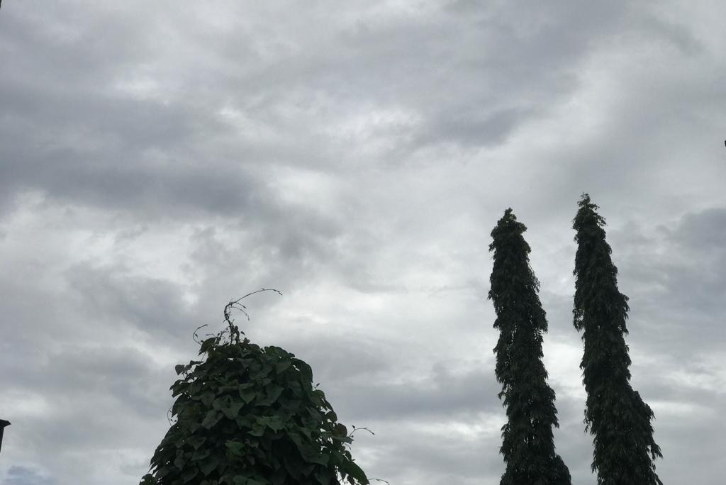 Cuaca Gorontalo Kamis 4 Agustus 2022 Besok, BMKG: 3 Wilayah Hujan Lebat