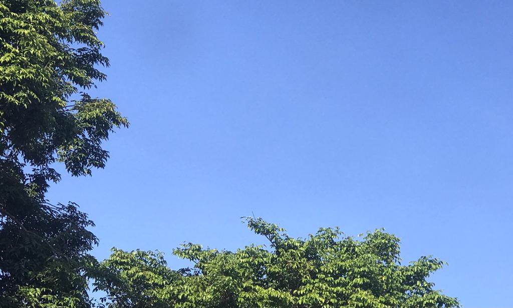 Cuaca Gorontalo Kamis 4 Agustus 2022 Hari Ini, BMKG: Marisa-Popayato-Taluditi Hujan Lebat