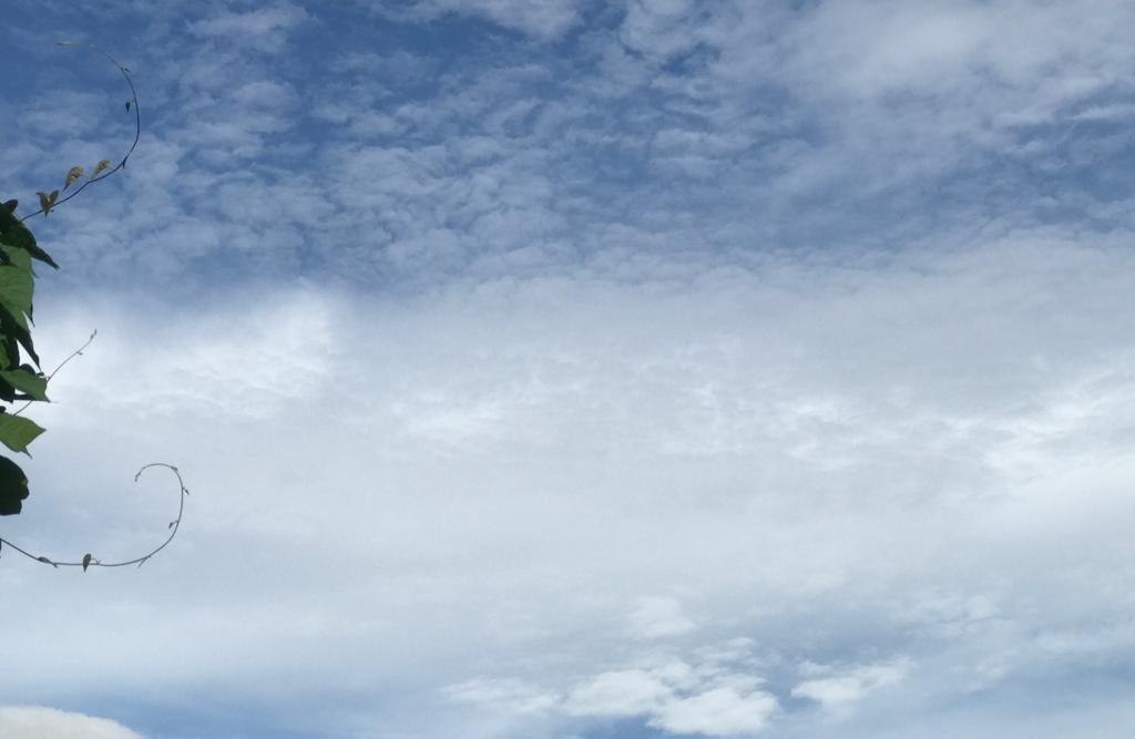 Cuaca Gorontalo Sabtu 6 Agustus 2022 Besok, BMKG: 11 Wilayah Hujan Lebat, Kilat dan Angin Kencang