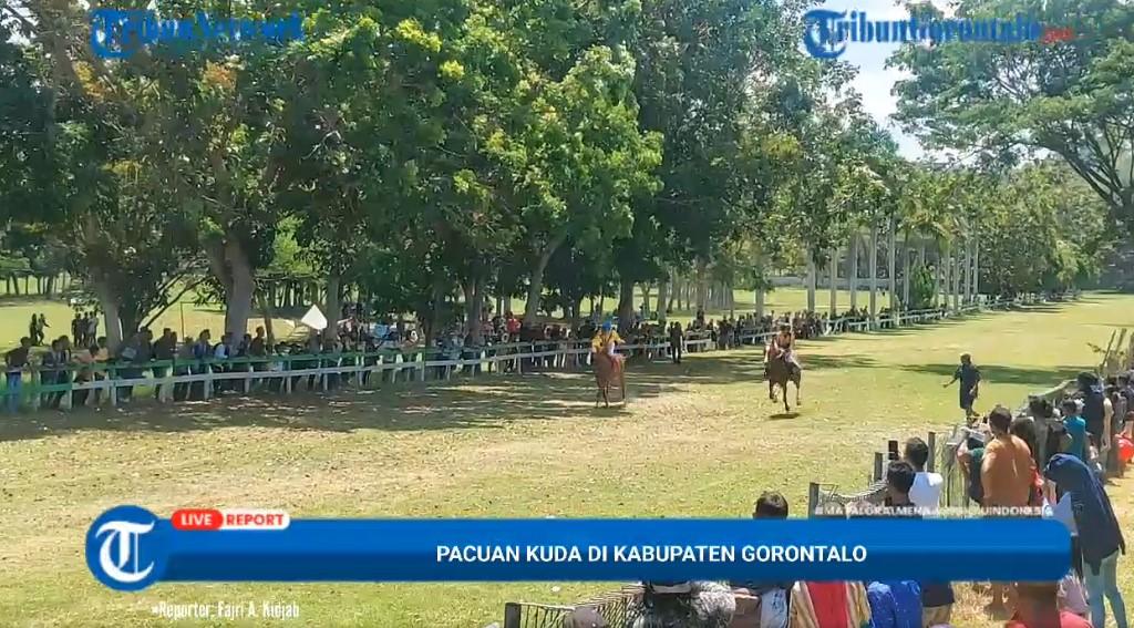 2942023_Pacuan-kuda-Gorontalo.jpg