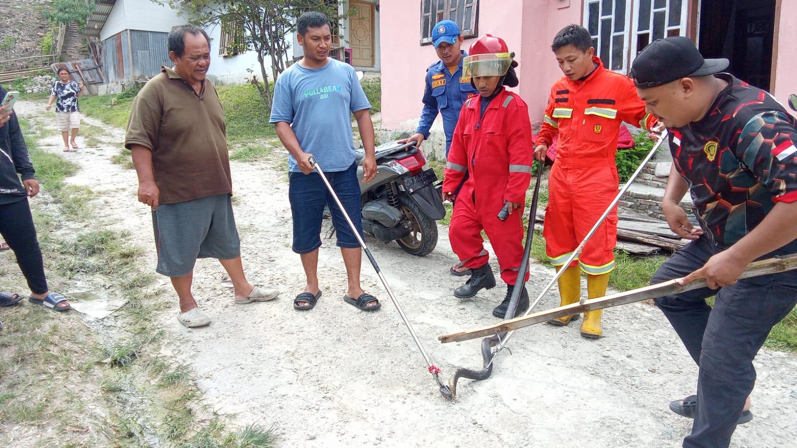 COBRA-Momen-personel-Damkar-Kota-Gorontalo.jpg