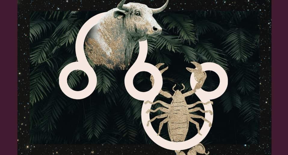 Ilustrasi-zodiak-Taurus-dan-Scorpio.jpg