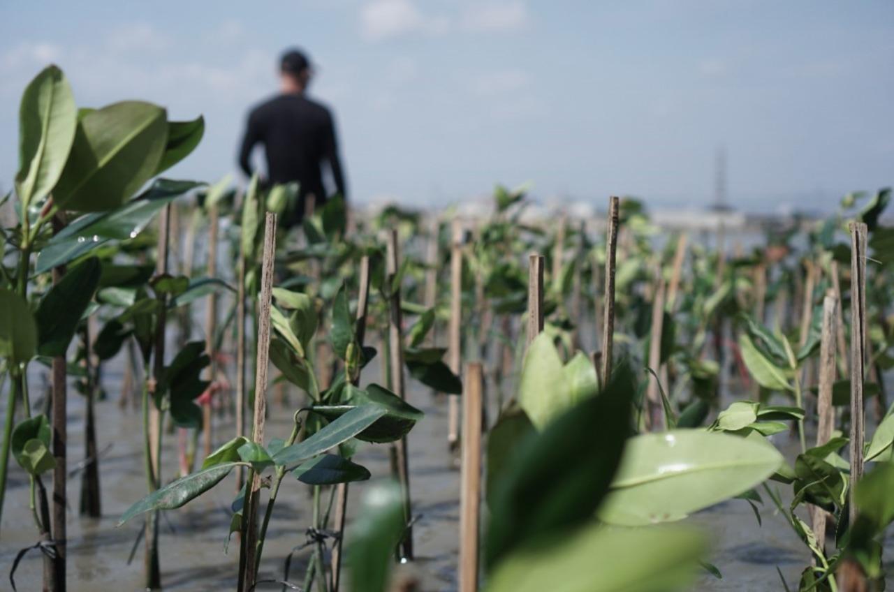 Indonesia Didukung Cloud dan AI Dalam Program Penurunan Emisi Karbon Indonesia 2030