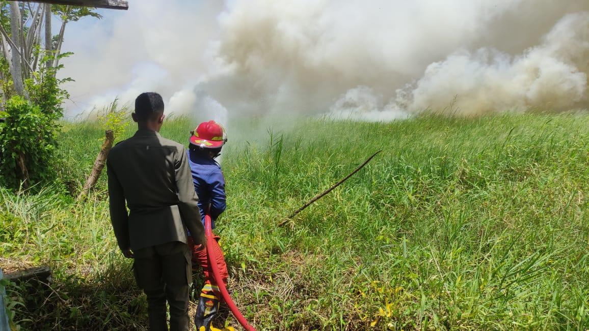 Kebakaran-lahan-terjadi-di-Kelurahan-Molosipat-W-099.jpg