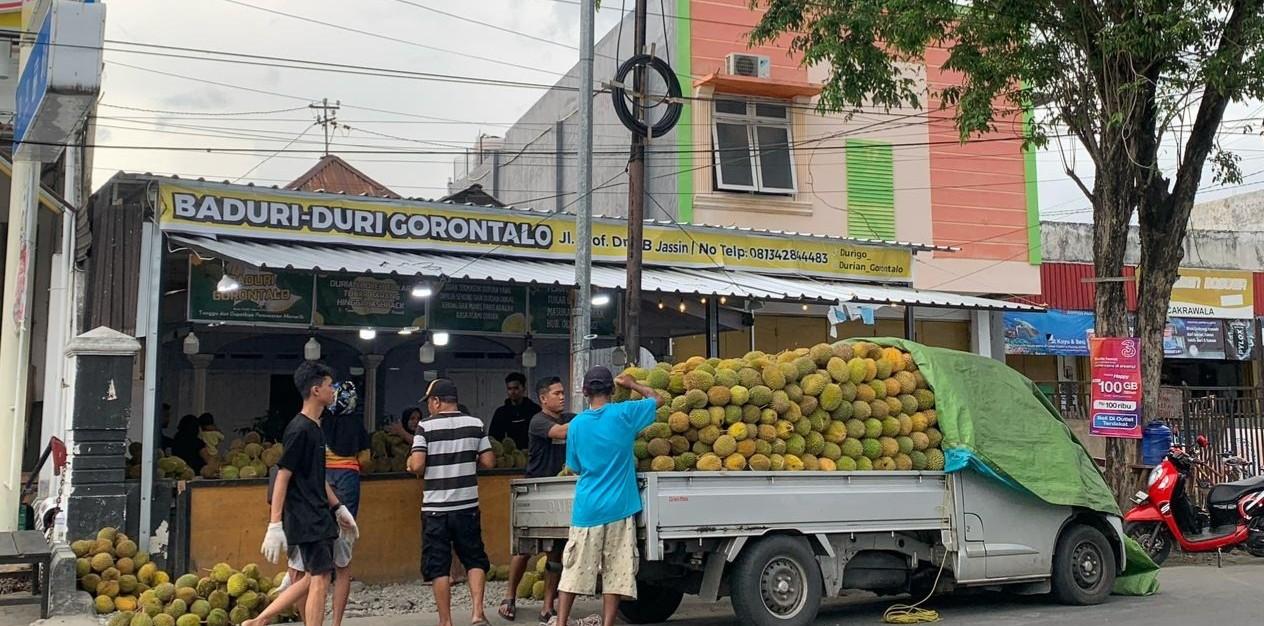 Ilham Bin Yasin Penjual Durian di Kota Gorontalo Raup Omzet Rp30 Juta Sehari