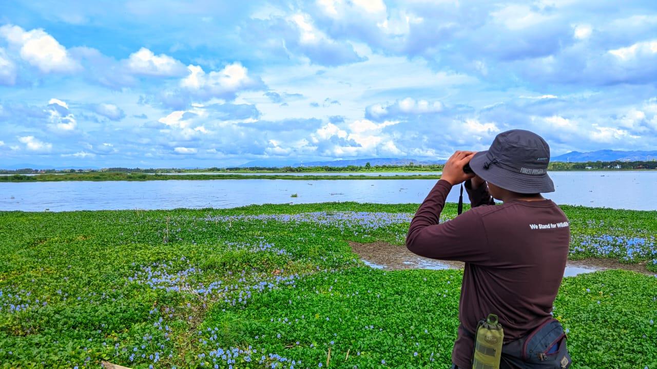 NGO-Biodiversitas-Gorontalo-memantau-burung-Air-Asia.jpg