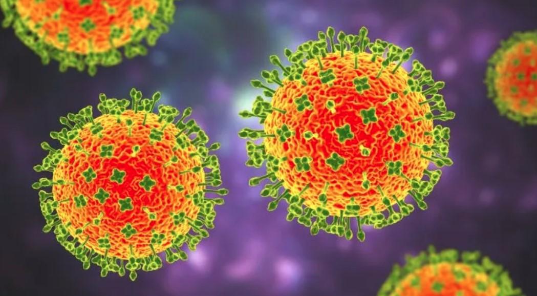 PENYAKIT-India-melaporkan-wabah-Virus-Nipah-di-negara-bagian-West-Bengal.jpg