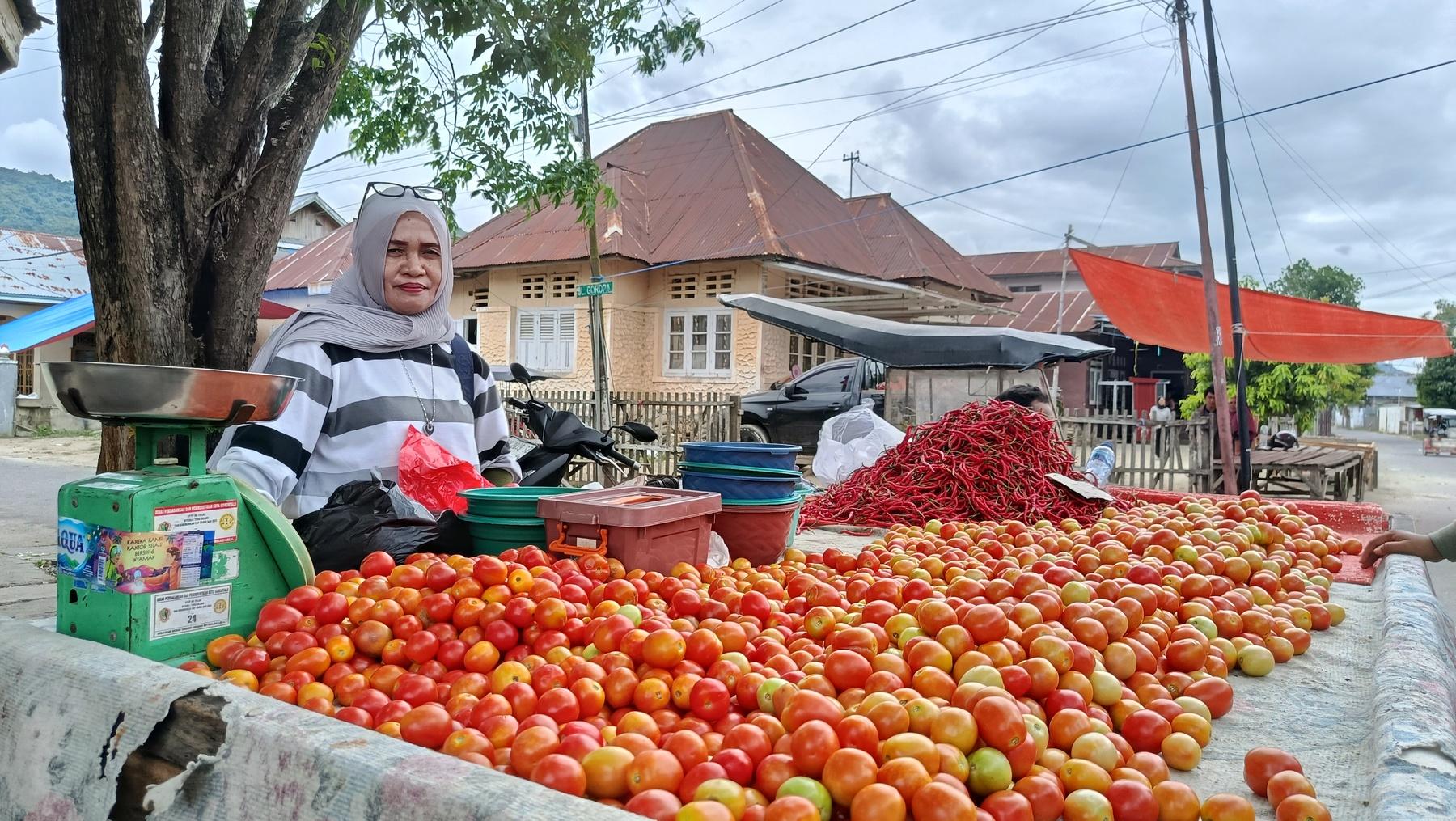 Pedagang-tomat-Selvi-Hasan.jpg